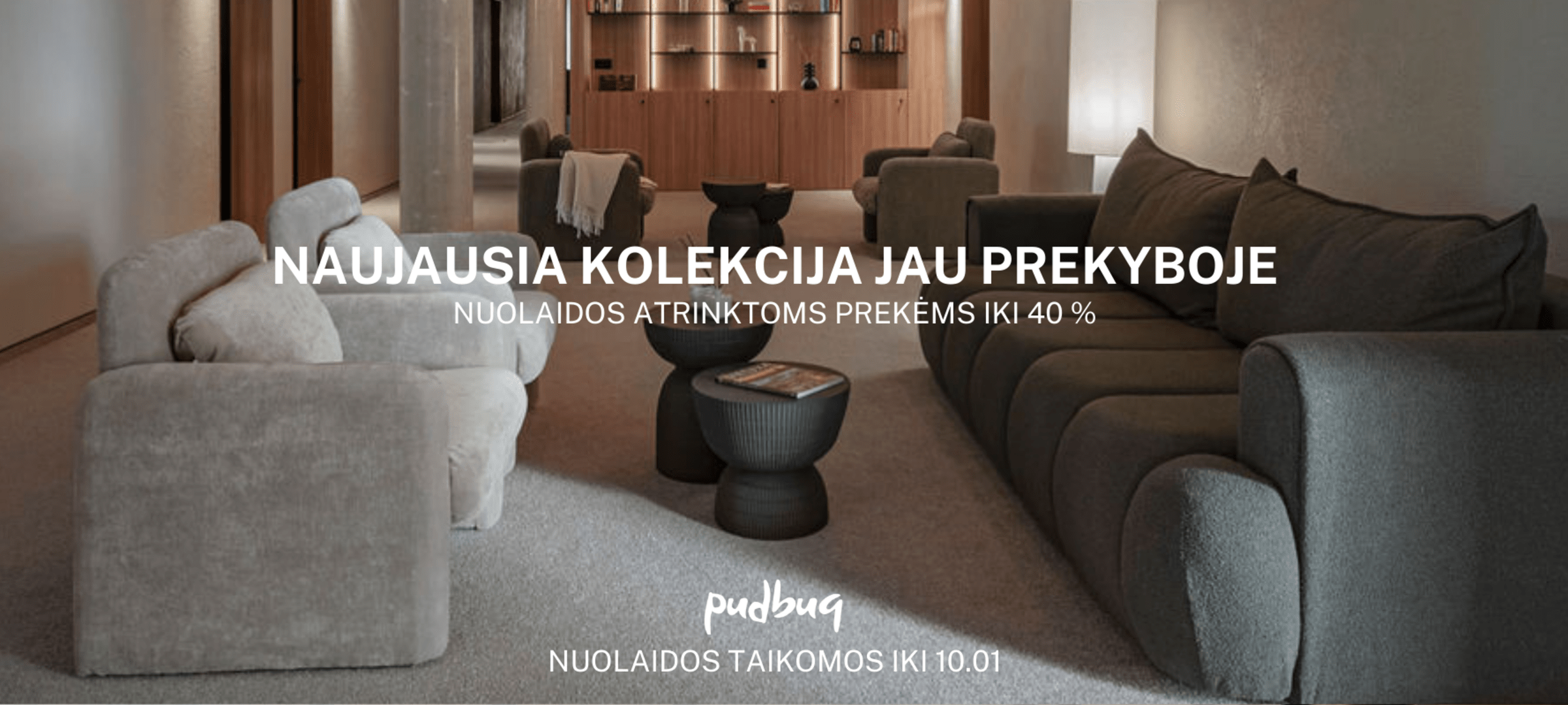 www.pudbuq.lt